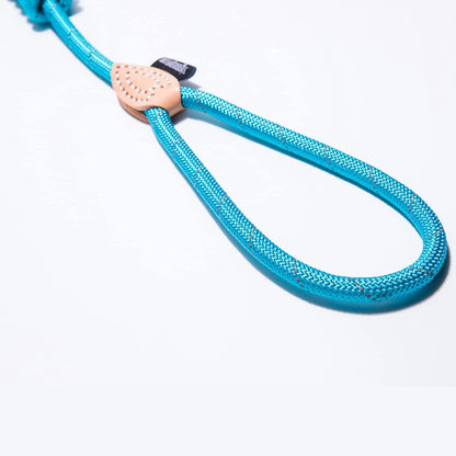 Reflective Retractable Pet Leash