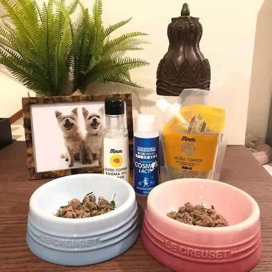 Elevated Ceramic Cat Bowl