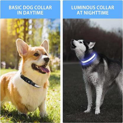 LED Dog Collar Light