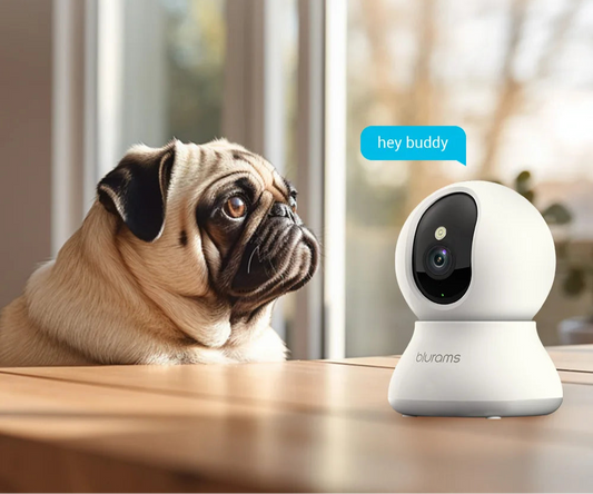 2K Indoor Security Camera