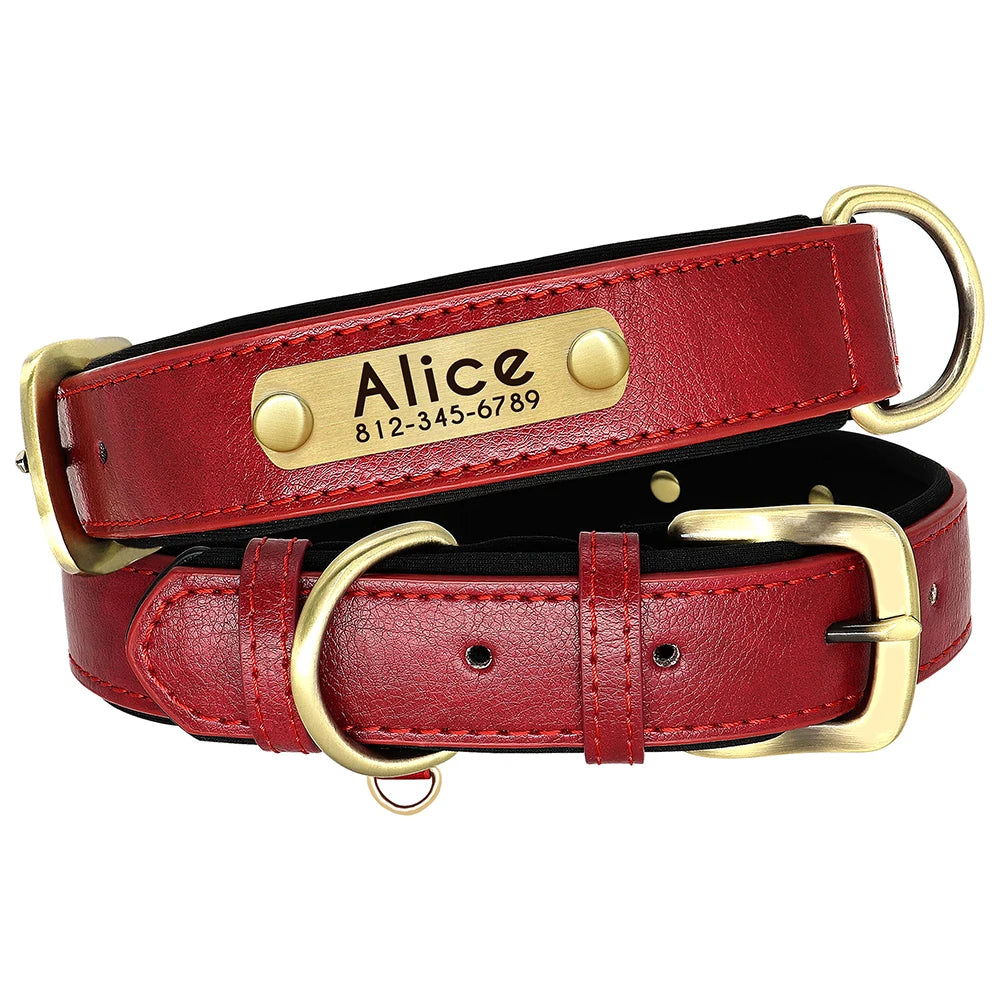 Custom Leather Dog Collar Set