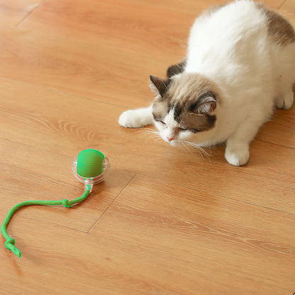Automatic Cat Ball Toy