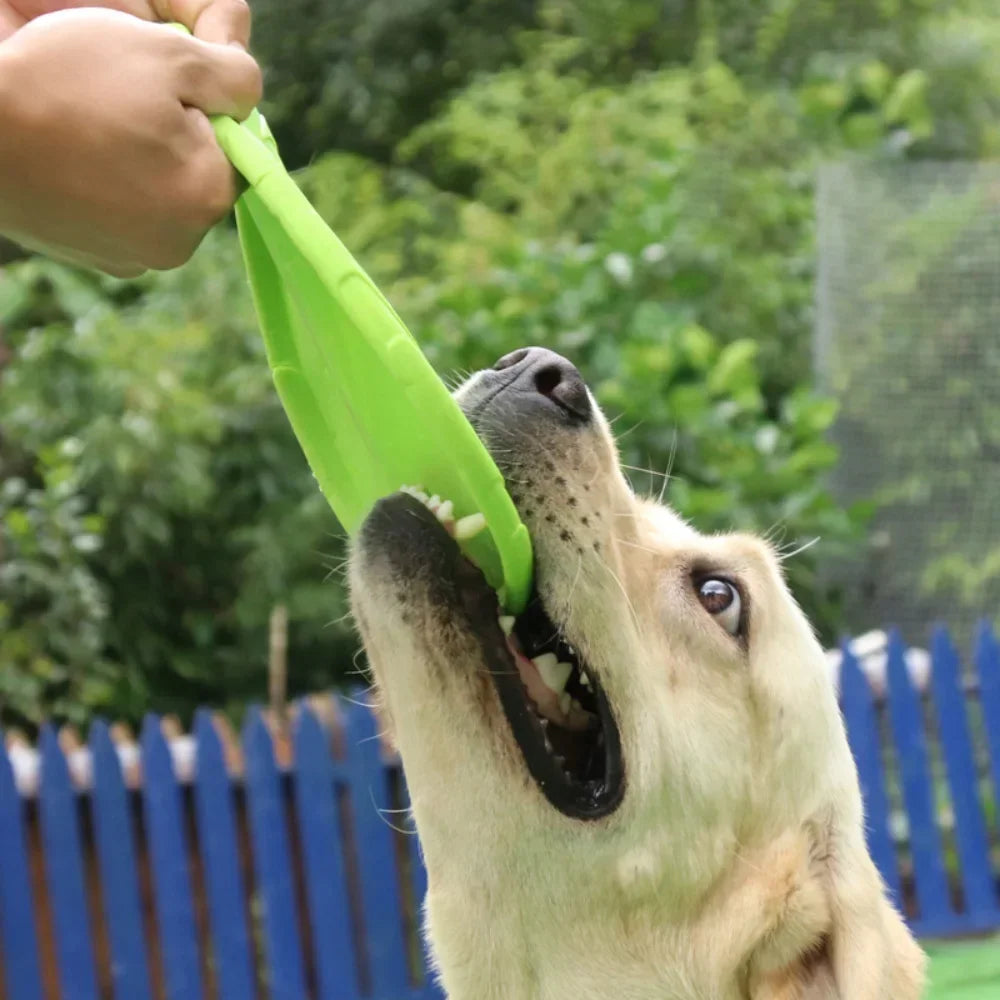Dog Flying Disc Toy