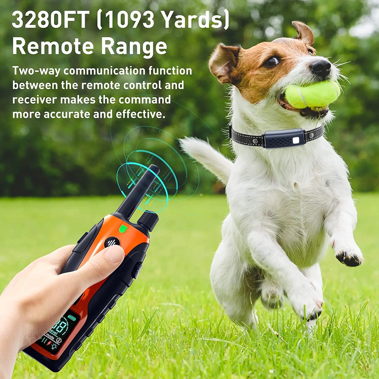 Remote Dog Training Collar
