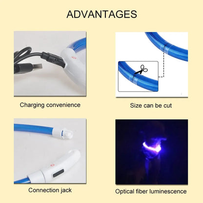 LED USB Dog Collar