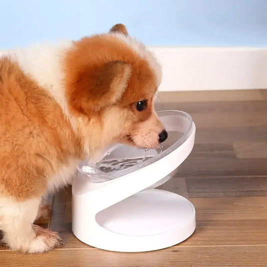 Raised Pet Feeding Bowl