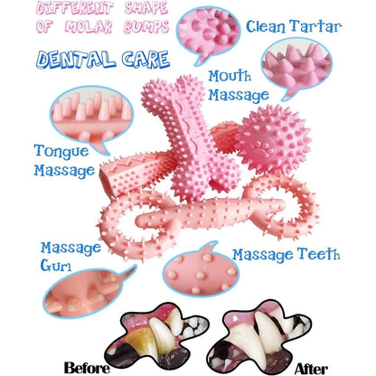 Teething Puppy Chew Toy
