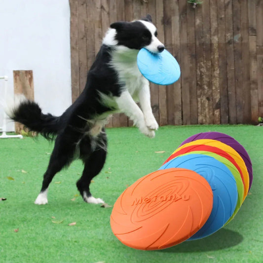 Dog Flying Disc Toy