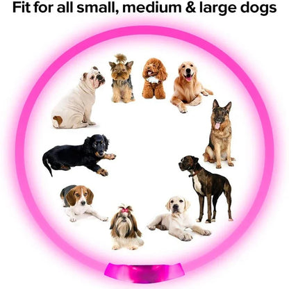 LED USB Dog Collar