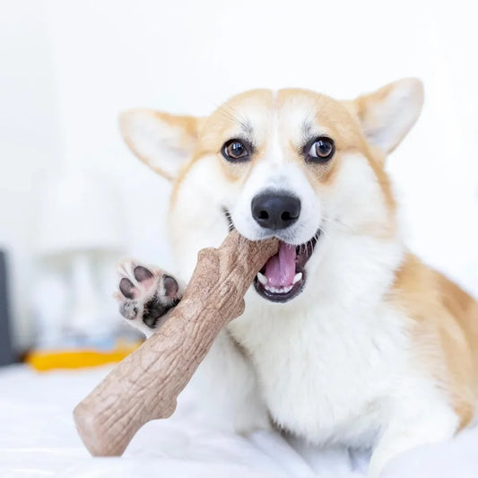 Dogwood Chew Toy