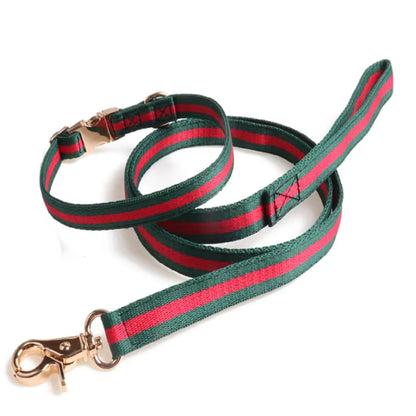 Luxury Nylon Dog Leash Set