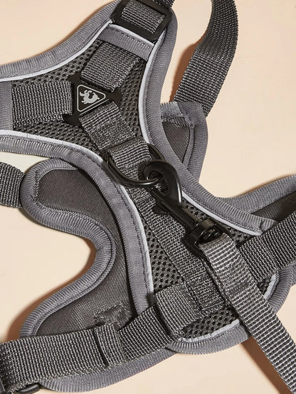 Pet Harness Leash Set
