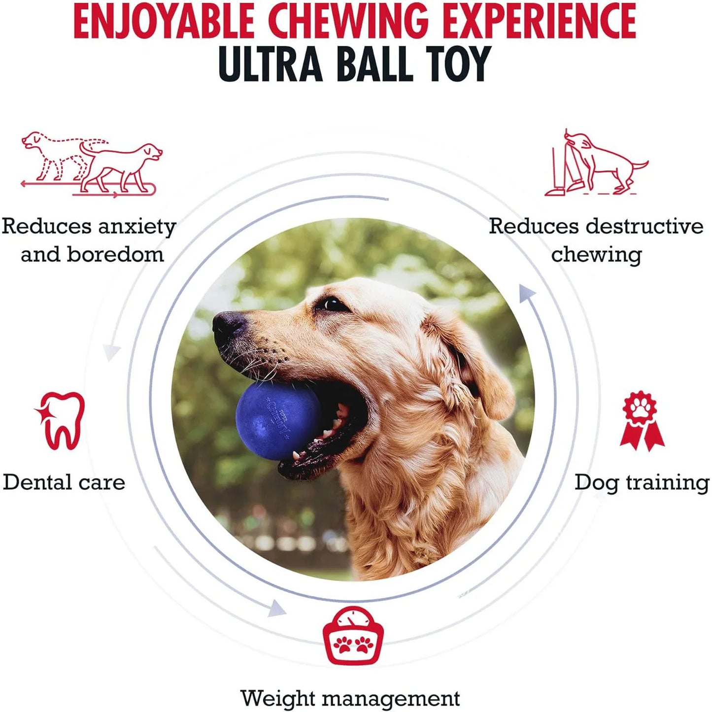 SuperChewy Dog Ball Toy