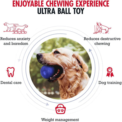SuperChewy Dog Ball Toy