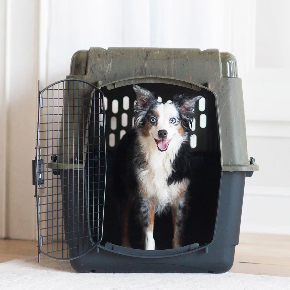 Large Plastic Dog Kennel