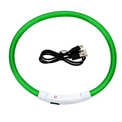 LED USB Dog Collar