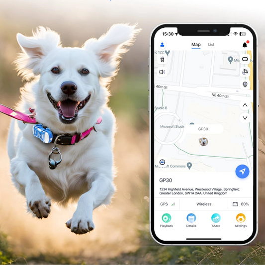 Pet GPS Tracker