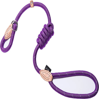 Reflective Retractable Pet Leash