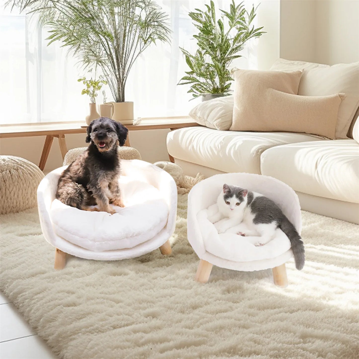 Raised Pet Sofa Bed