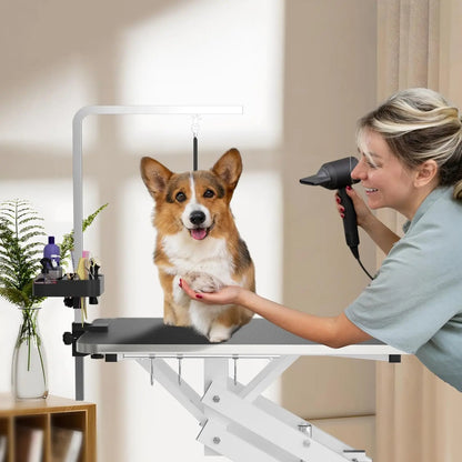Hydraulic Dog Grooming Table
