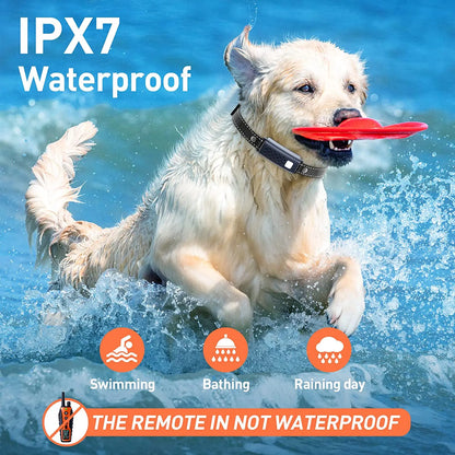 Remote Dog Training Collar