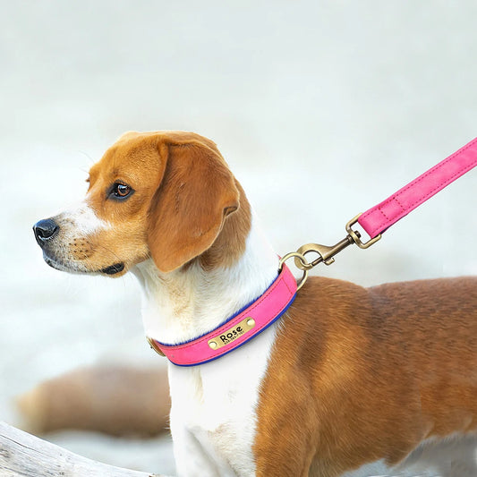 Custom Leather Dog Collar Set